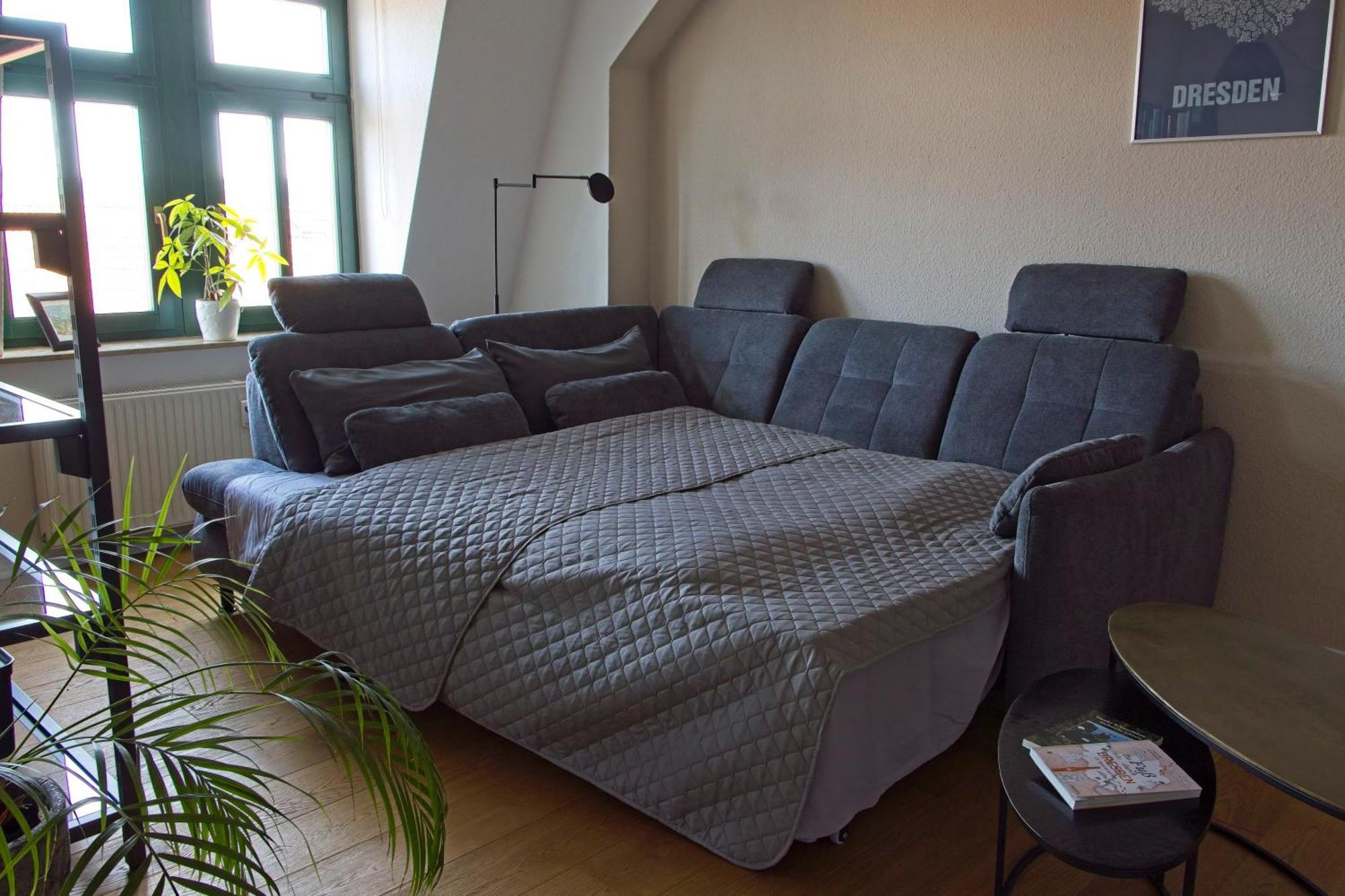 Neustadt-Aussicht - Grosse Wohnung Mit Balkon Дрезден Екстер'єр фото